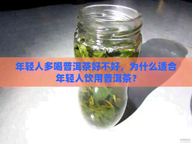 年轻人多喝普洱茶好不好，为什么适合年轻人饮用普洱茶？