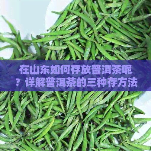 在山东如何存放普洱茶呢？详解普洱茶的三种存方法