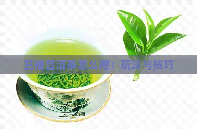 直播普洱茶怎么播：玩法与技巧