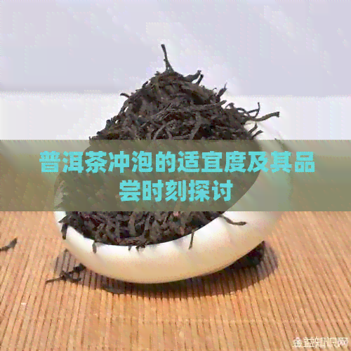 普洱茶冲泡的适宜度及其品尝时刻探讨