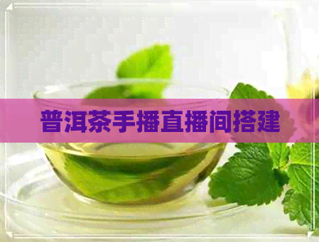 普洱茶手播直播间搭建