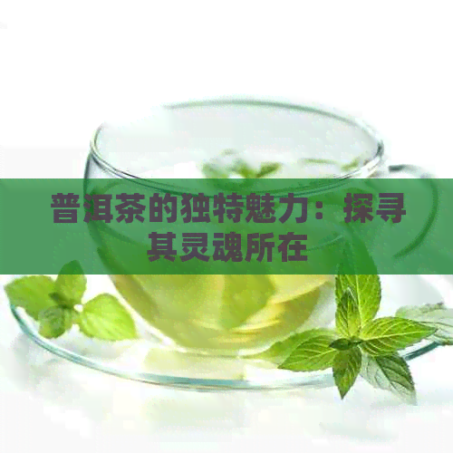 普洱茶的独特魅力：探寻其灵魂所在