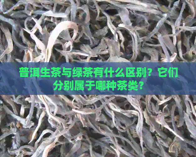 普洱生茶与绿茶有什么区别？它们分别属于哪种茶类？