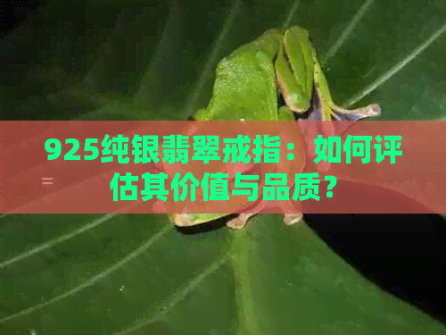 925纯银翡翠戒指：如何评估其价值与品质？