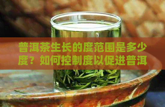 普洱茶生长的度范围是多少度？如何控制度以促进普洱茶的优质生长？