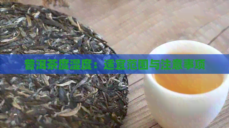 普洱茶度湿度：适宜范围与注意事项