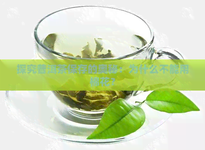 探究普洱茶保存的奥秘：为什么不能用棉花？