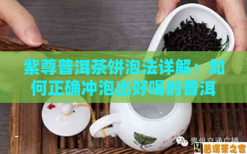 紫尊普洱茶饼泡法详解：如何正确冲泡出好喝的普洱茶？