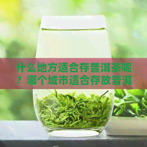 什么地方适合存普洱茶呢？哪个城市适合存放普洱茶？什么地方普洱茶？