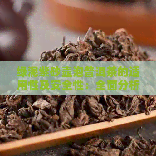 绿泥紫砂壶泡普洱茶的适用性及安全性：全面分析与解答