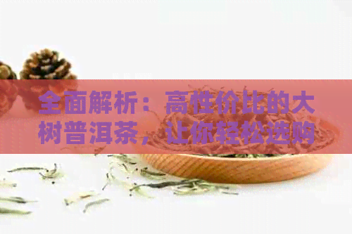 全面解析：高性价比的大树普洱茶，让你轻松选购优质茶叶