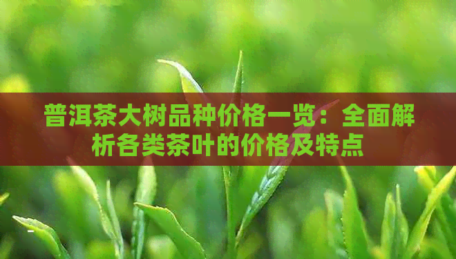 普洱茶大树品种价格一览：全面解析各类茶叶的价格及特点