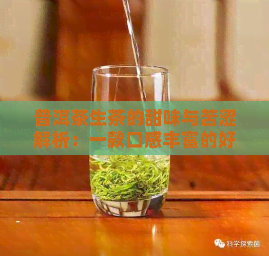 普洱茶生茶的甜味与苦涩解析：一款口感丰富的好茶探讨