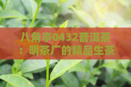 八角亭0432普洱茶：明茶厂的精品生茶，阿里价格分析与故事