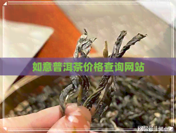 如意普洱茶价格查询网站