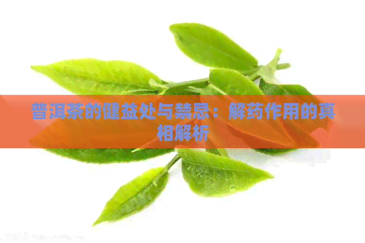 普洱茶的健益处与禁忌：解药作用的真相解析