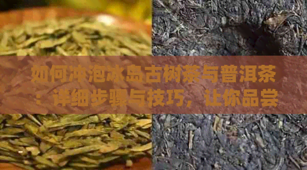 如何冲泡冰岛古树茶与普洱茶：详细步骤与技巧，让你品尝到口感