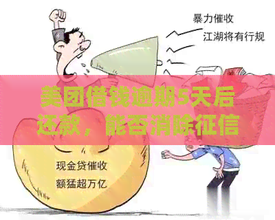 美团借钱逾期5天后还款，能否消除不良记录？需要多久？