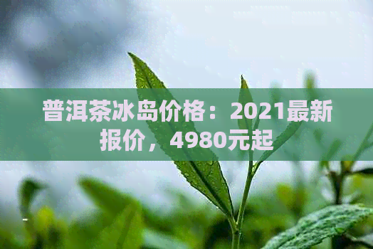 普洱茶冰岛价格：2021最新报价，4980元起