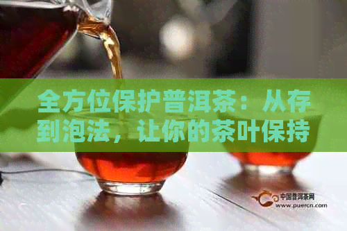 全方位保护普洱茶：从存到泡法，让你的茶叶保持品质