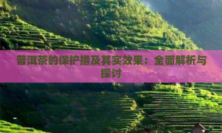 普洱茶的保护措及其实效果：全面解析与探讨