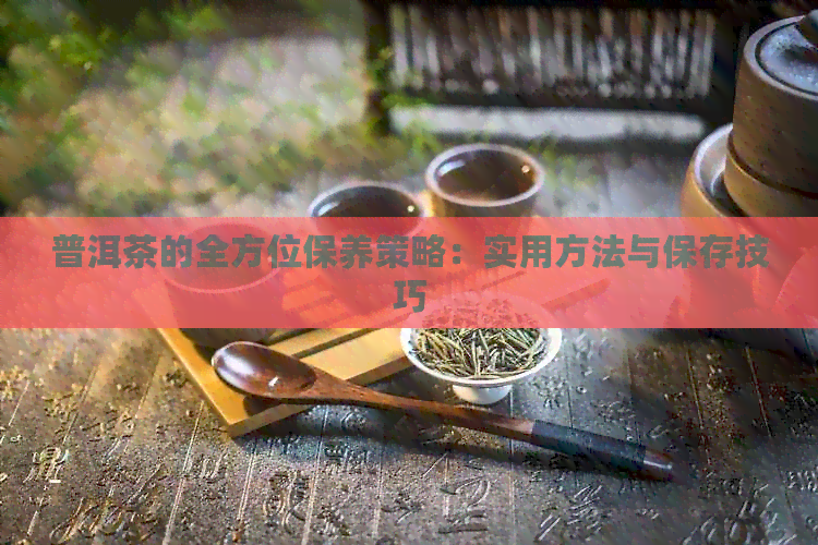 普洱茶的全方位保养策略：实用方法与保存技巧