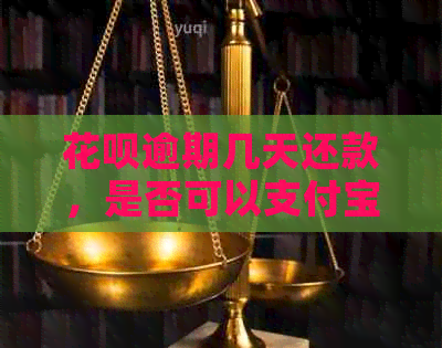 花呗逾期几天还款，是否可以支付宝花？