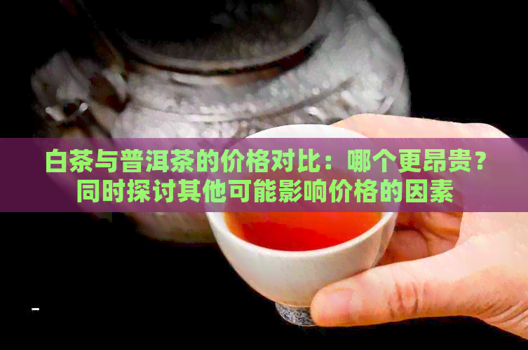 白茶与普洱茶的价格对比：哪个更昂贵？同时探讨其他可能影响价格的因素