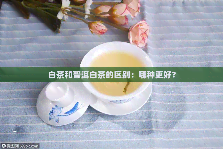 白茶和普洱白茶的区别：哪种更好？