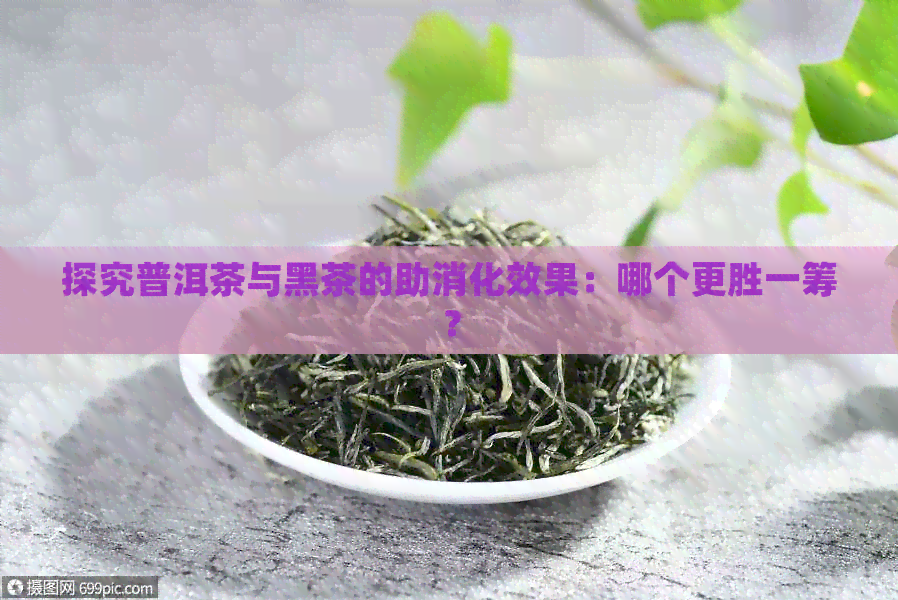 探究普洱茶与黑茶的助消化效果：哪个更胜一筹？