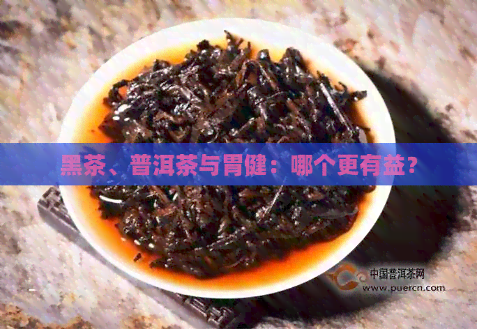 黑茶、普洱茶与胃健：哪个更有益？