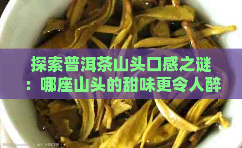 探索普洱茶山头口感之谜：哪座山头的甜味更令人醉？