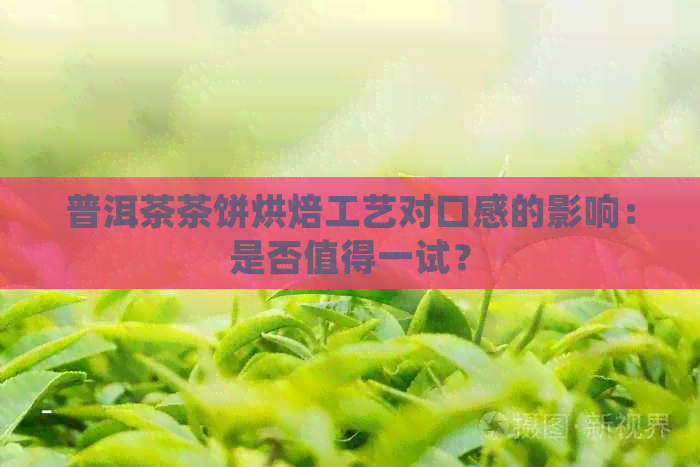 普洱茶茶饼烘焙工艺对口感的影响：是否值得一试？