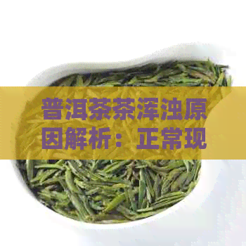 普洱茶茶浑浊原因解析：正常现象还是品质问题？