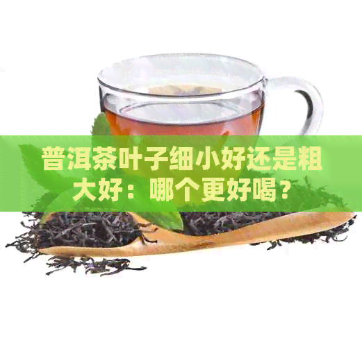 普洱茶叶子细小好还是粗大好：哪个更好喝？