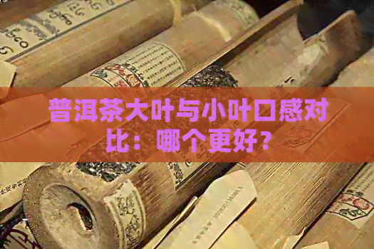 普洱茶大叶与小叶口感对比：哪个更好？