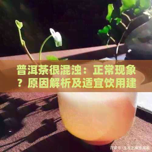 普洱茶很混浊：正常现象？原因解析及适宜饮用建议