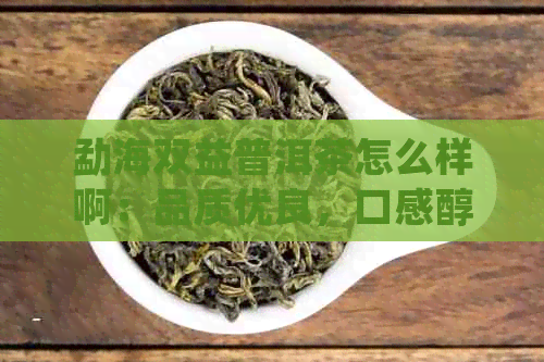 勐海双益普洱茶怎么样啊：品质优良，口感醇厚，值得一试！