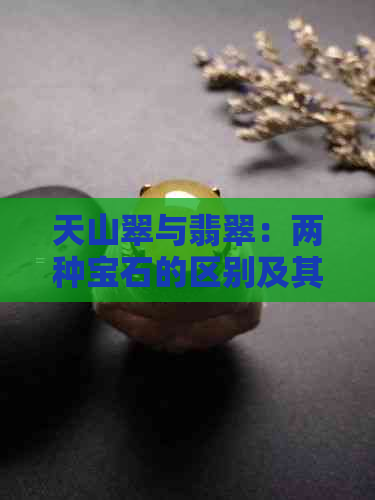 天山翠与翡翠：两种宝石的区别及其可能性