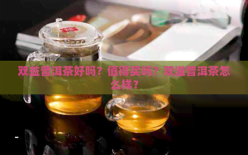 双益普洱茶好吗？值得买吗？双溢普洱茶怎么样？