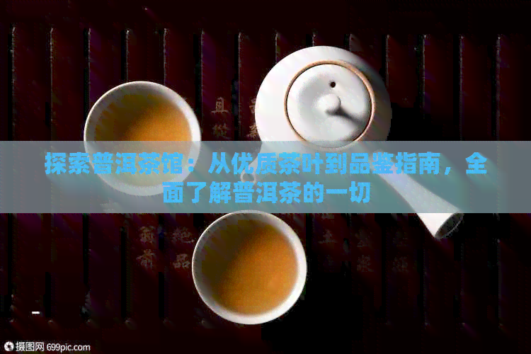 探索普洱茶馆：从优质茶叶到品鉴指南，全面了解普洱茶的一切