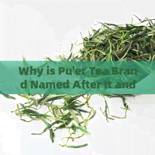 Why is Pu'er Tea Brand Named After It and How Did it Originate?