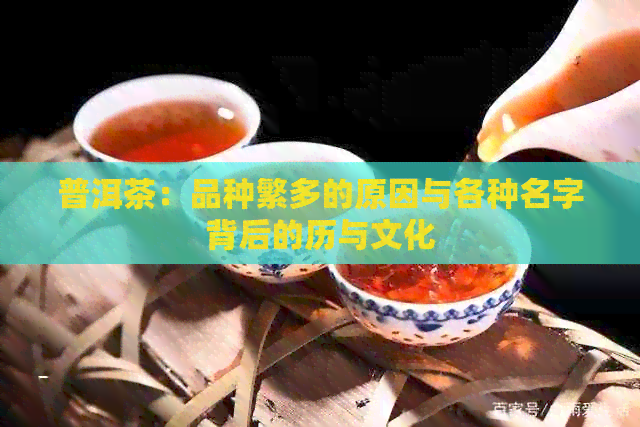 普洱茶：品种繁多的原因与各种名字背后的历与文化