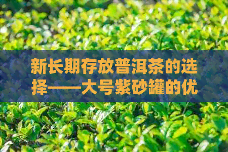 新长期存放普洱茶的选择——大号紫砂罐的优缺点及保养方法解析