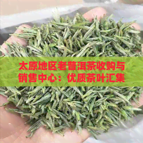 太原地区老普洱茶收购与销售中心：优质茶叶汇集地