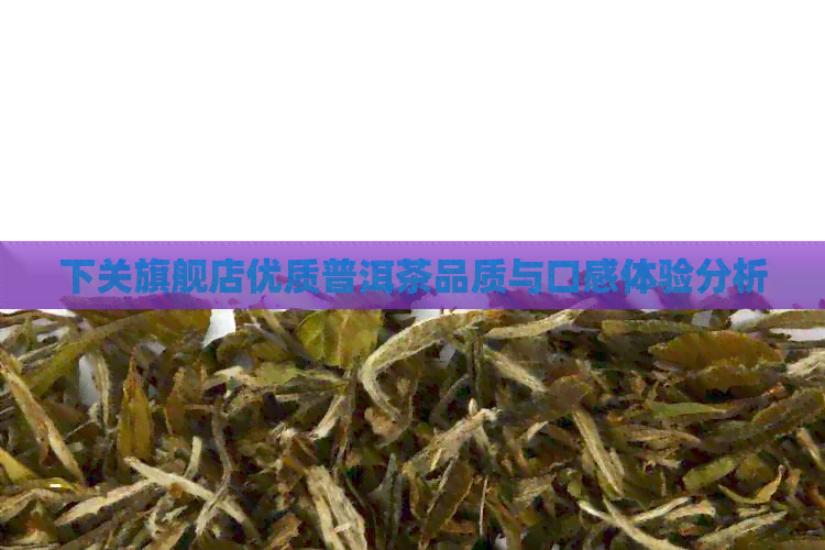 下关旗舰店优质普洱茶品质与口感体验分析