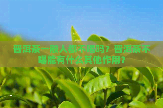 普洱茶一般人都不喝吗？普洱茶不喝能有什么其他作用？