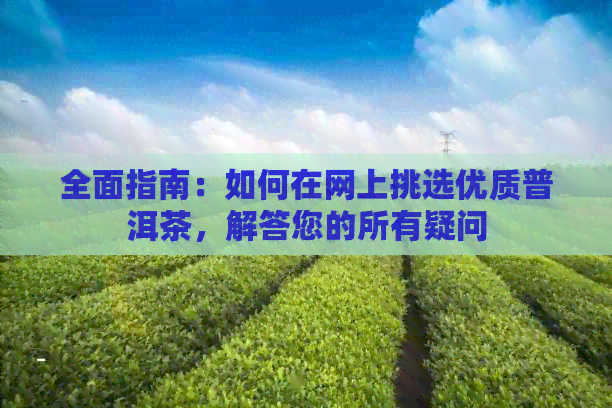 全面指南：如何在网上挑选优质普洱茶，解答您的所有疑问