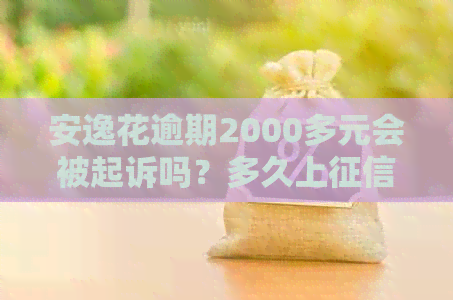 安逸花逾期2000多元会被起诉吗？多久上？