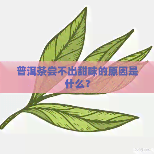 普洱茶尝不出甜味的原因是什么？